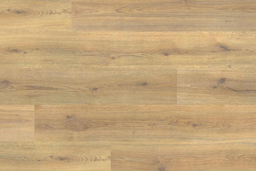 Mundskyl te Arabiske Sarabo Series Woods 8mm Laminate Flooring Nature Oak